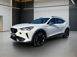 Cupra Formentor 2,0 TSI VZ 4X4 DSG 310HK 5d 7g Aut.
